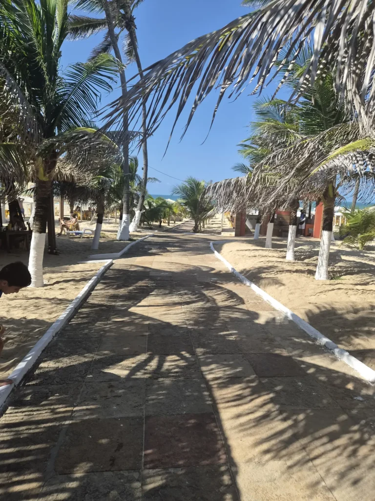 Entrada da Barraca Itaparika, com coqueiros e cabanas na Praia do Futuro, Fortaleza
