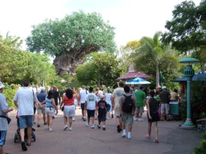 Disney Animal Kingdom, Orlando