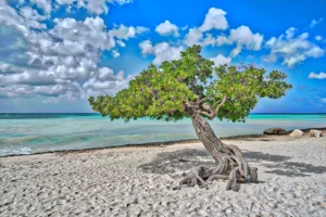 Eagle Beach, Aruba
