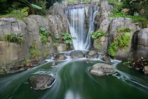 Golden Gate Park, San Francisco