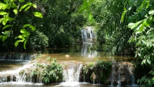 Bonito (MS): flutuação, grutas e balneários