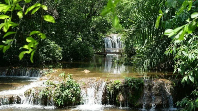 Rio de águas cristalinas em Bonito, Mato Grosso do Sul