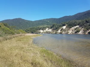 Lagoinha do Leste, Florianópolis