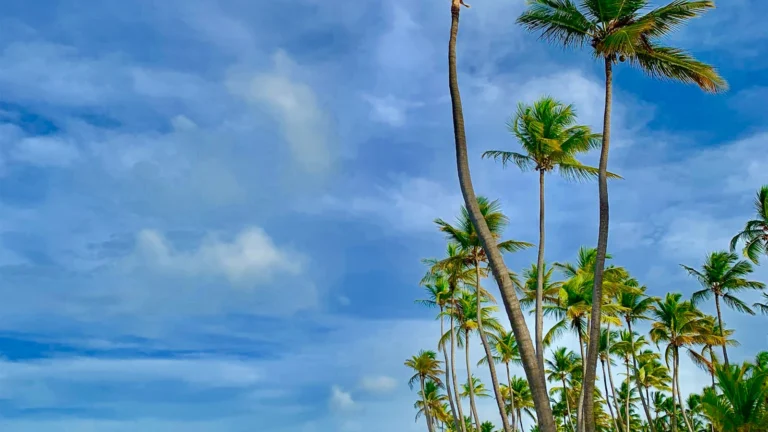 Praia em Punta Cana