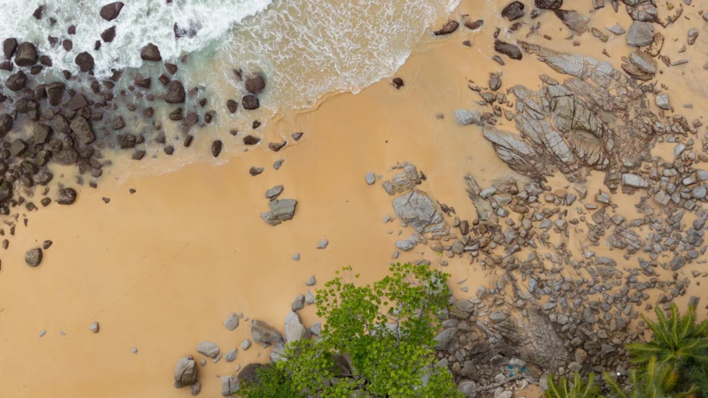 Litoral tropical com floresta e mar azul