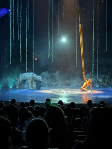 Cirque du Soleil LUZIA