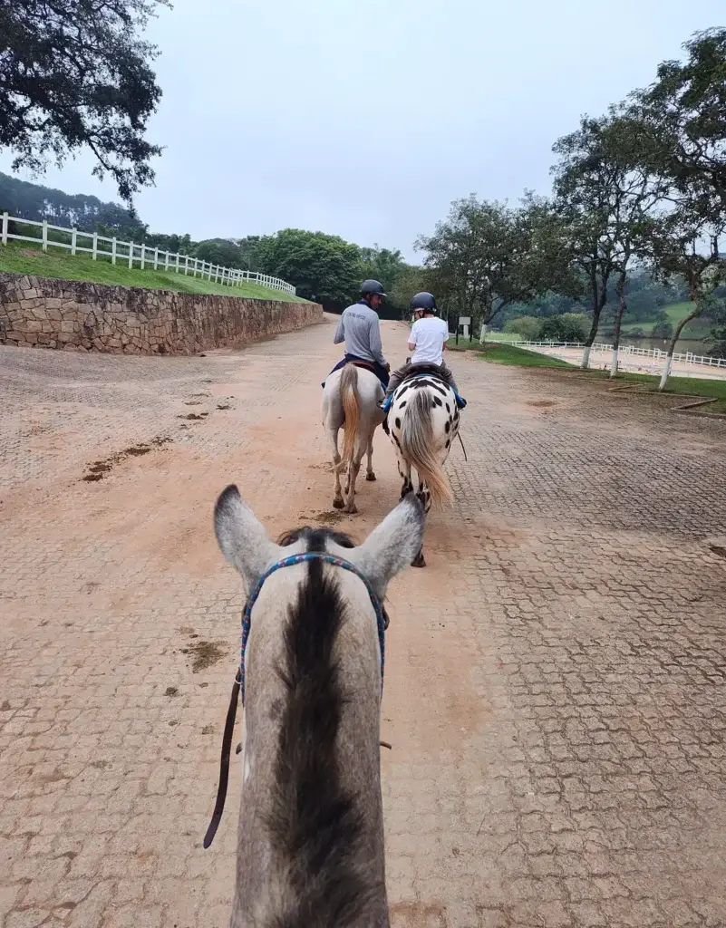 Passeio a cavalo pela Fazenda Dona Carolina