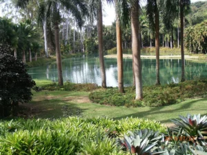 Instituto Inhotim