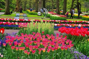 Keukenhof, Amsterdã