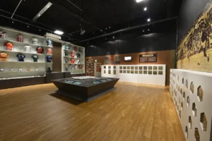 Mineirão e Museu Brasileiro do Futebol, Belo Horizonte