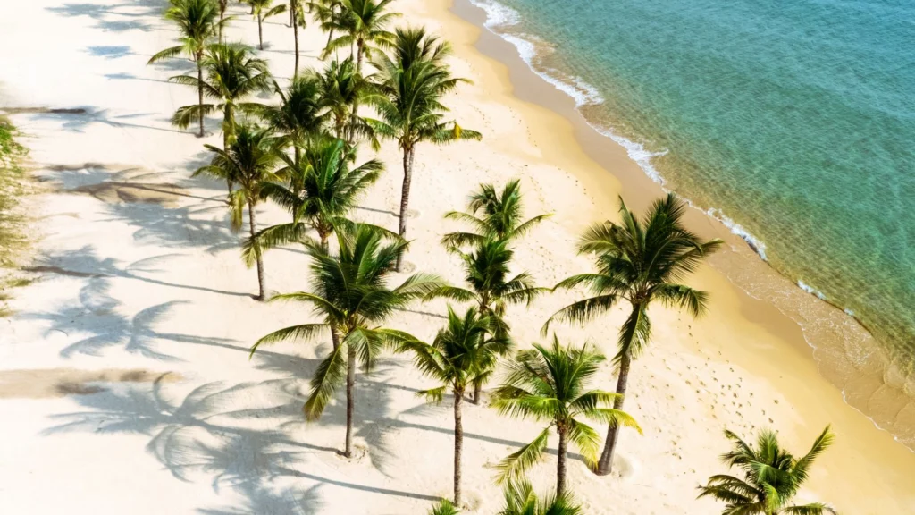 Praia tropical com coqueiros e areia branca à beira de águas turquesa, no litoral da Bahia.