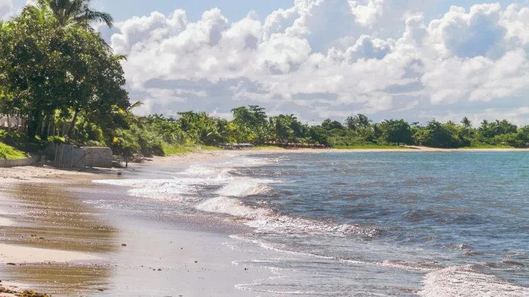 Praia de coqueiros no litoral de Porto Seguro, Bahia