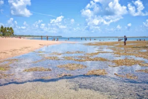 Praia de Taipu de Fora, Barra Grande