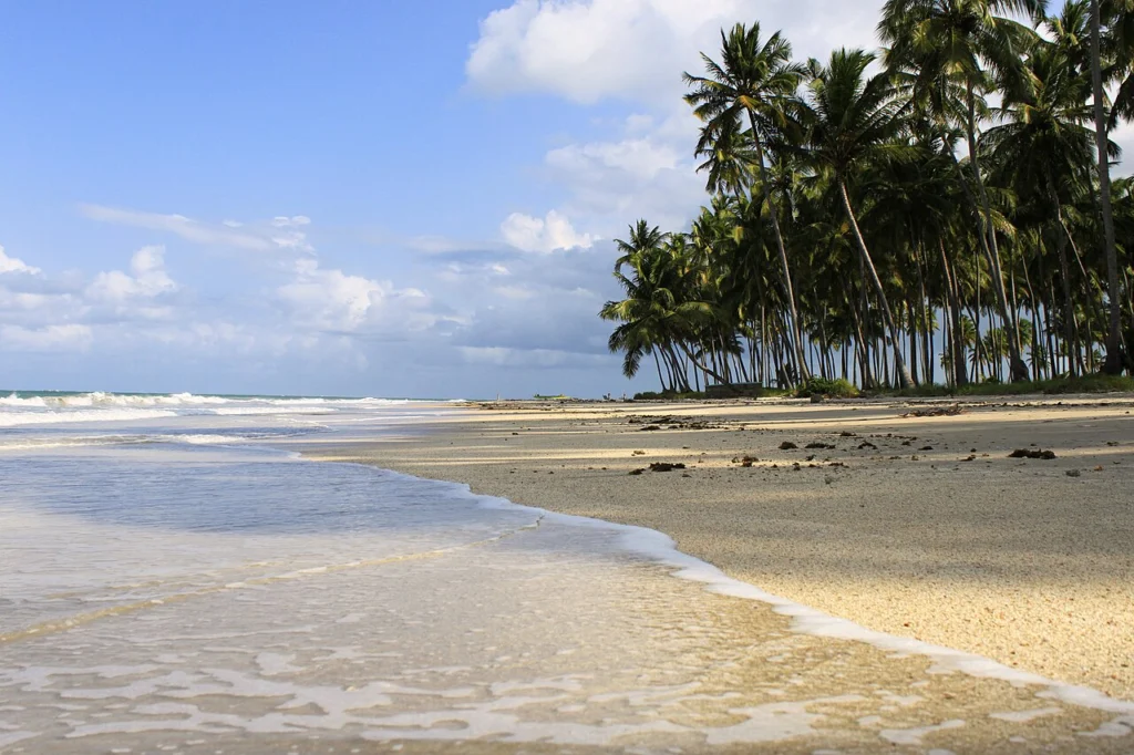 Praia dos Carneiros em Pernambuco com coqueiros e mar cristalino