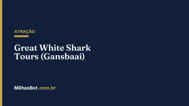 ATRAÇÃO: Great White Shark Tours (Gansbaai)