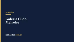 ATRAÇÃO: Galeria Cildo Meireles