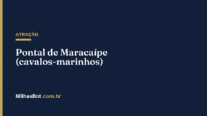 ATRAÇÃO: Pontal de Maracaípe (cavalos-marinhos)