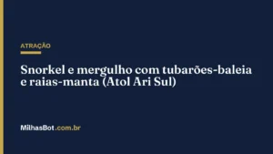 ATRAÇÃO: Snorkel e mergulho com tubarões-baleia e raias-manta (Atol Ari Sul)