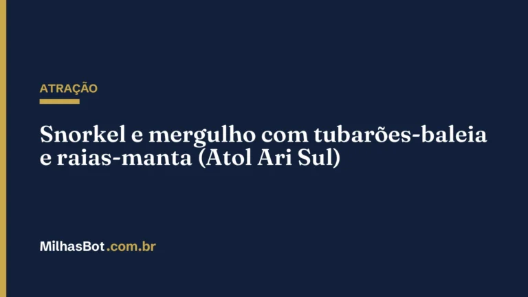 ATRAÇÃO: Snorkel e mergulho com tubarões-baleia e raias-manta (Atol Ari Sul)