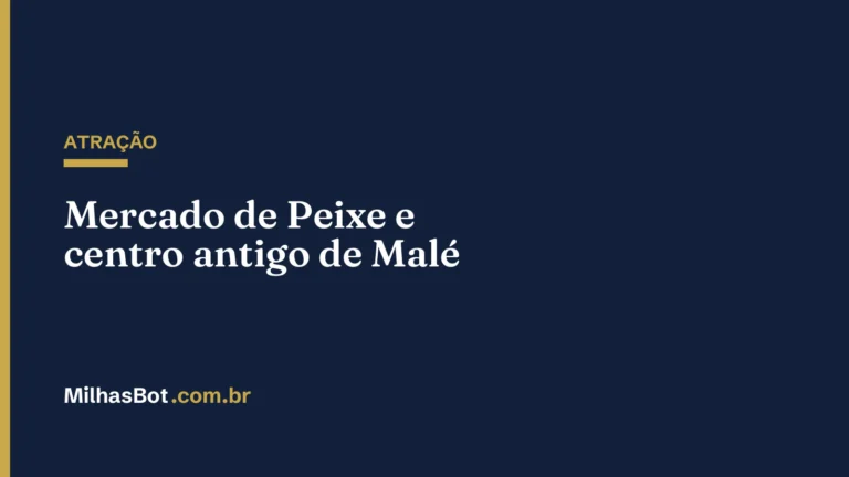 ATRAÇÃO: Mercado de Peixe e centro antigo de Malé
